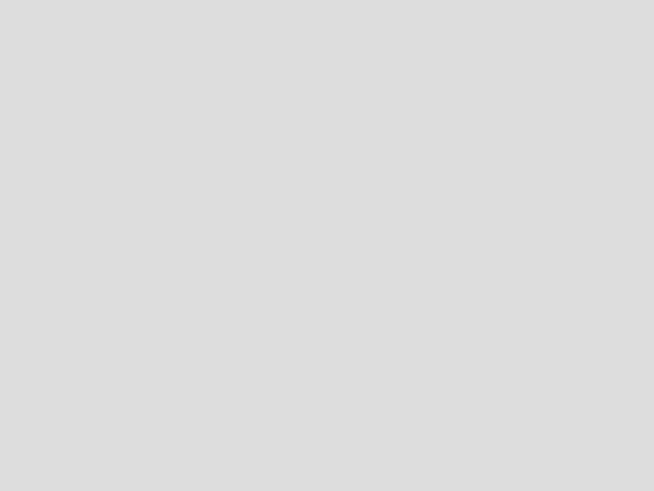 292320636_578189107150710_1157873046741171313_n.jpg